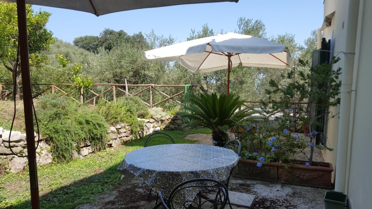 Gli Ulivi Agriturismo Sant'Agnello Exterior photo
