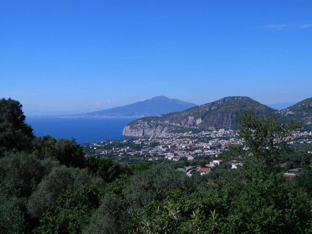 Gli Ulivi Agriturismo Sant'Agnello Exterior photo